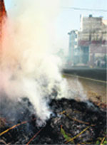 Solid waste being burnt on Sonepat road, near Mansarowar Park, Rohtak. Photo: Manoj Dhaka