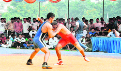 Wrestlers in action during the Haryana State Senior Wrestling Championship at Subhash Stadium, Sonepat. Photo: BS Malik