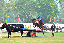 A student displays his horse riding skills during the founders� day function of Punjab Public School in Nabha