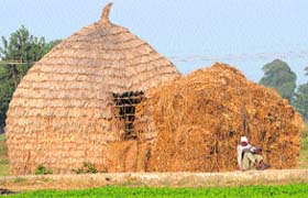 A man sits on a wall to bask in the sun on a cold day in Karnal