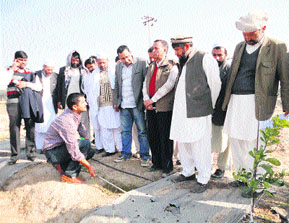 A delegation of farmers from Afghanistan sees micro-irrigation techniques adopted by farmers in Sirsa. 