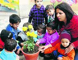 Children of Bloom Bud Convent School, Ambala City, plant flower saplings on the school campus while celebrating the New Year
