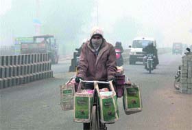 Business as usual: A salesman peddles his way through a thick blanket of fog on a cold morning in Gurgaon