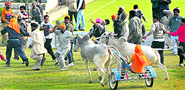 A contestant loses control over his bulls during a bullock cart race at the 77th Kila Raipur Rural Sports in Ludhiana district. The race, which was banned last year, has been resumed