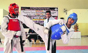 Players in action during the North Zone Taekwondo Gyeorugi and North Zone Taekwondo Poomsae Tournament in Bilaspur, Yamunanagar, recently.