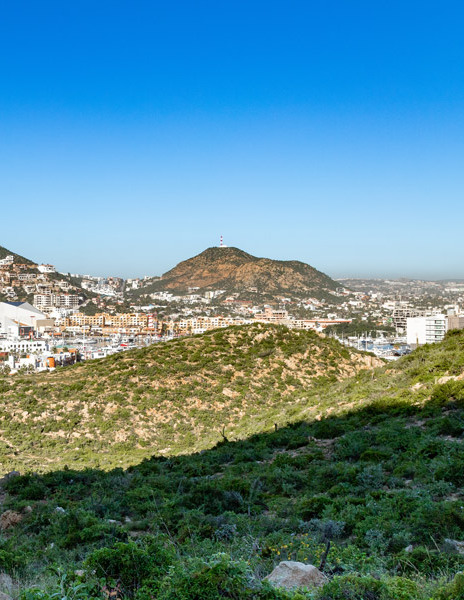 view-from-cerro-del-vigia-1