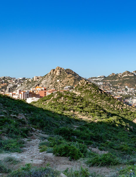 view-from-cerro-del-vigia