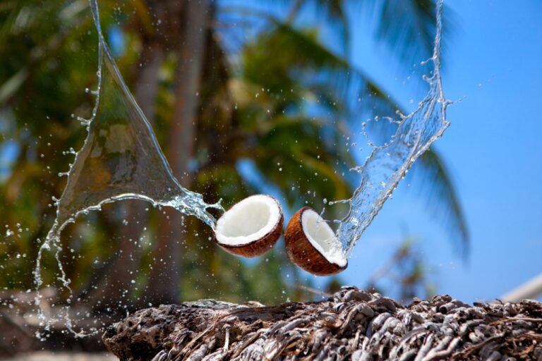 coconut water