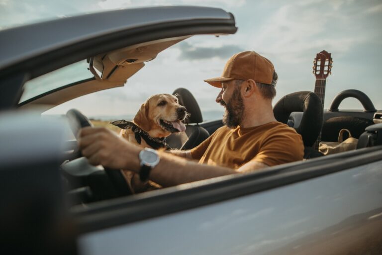 man with a dog drive in mexico