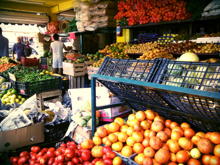 emiliano zapata market