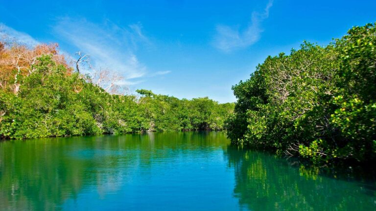 Protected areas in Mexico, El Salado Estuary