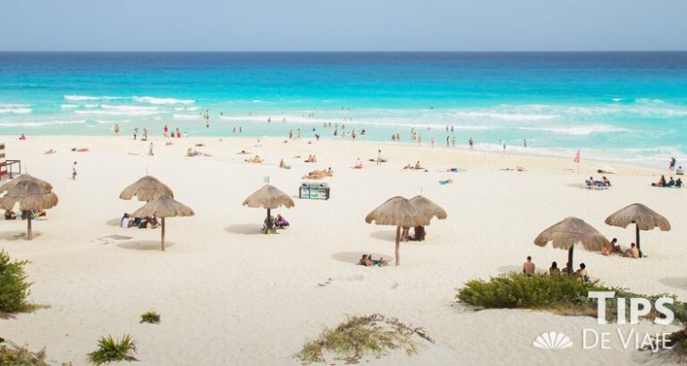 delfines beach cancun