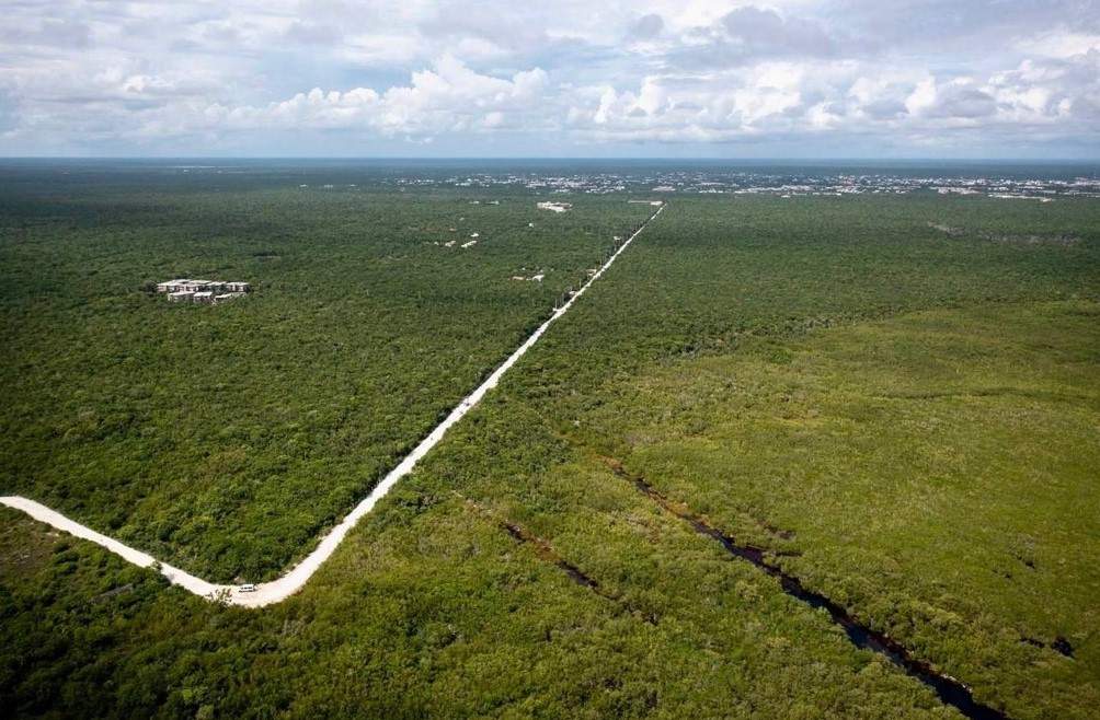 Aerial view of Maya train view