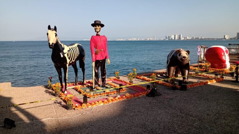 puerto-vallarta-catrina