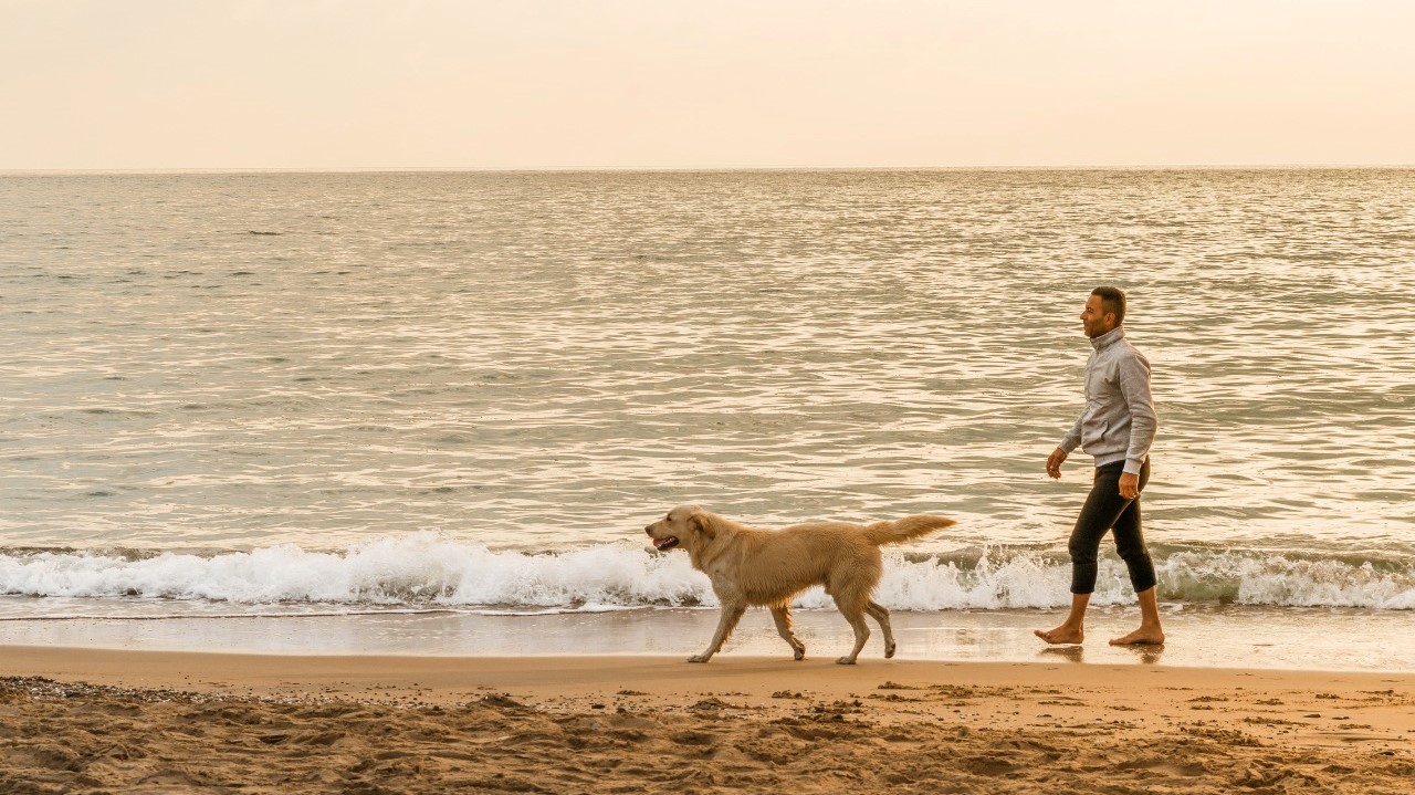 man walking dog on the beach at puerto-vallarta-pet-friendly