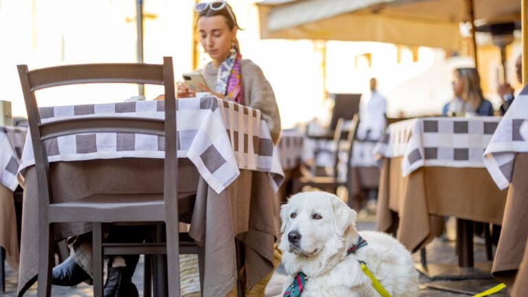 woman at a table in a restaurant in puerto-vallarta-pet-friendly