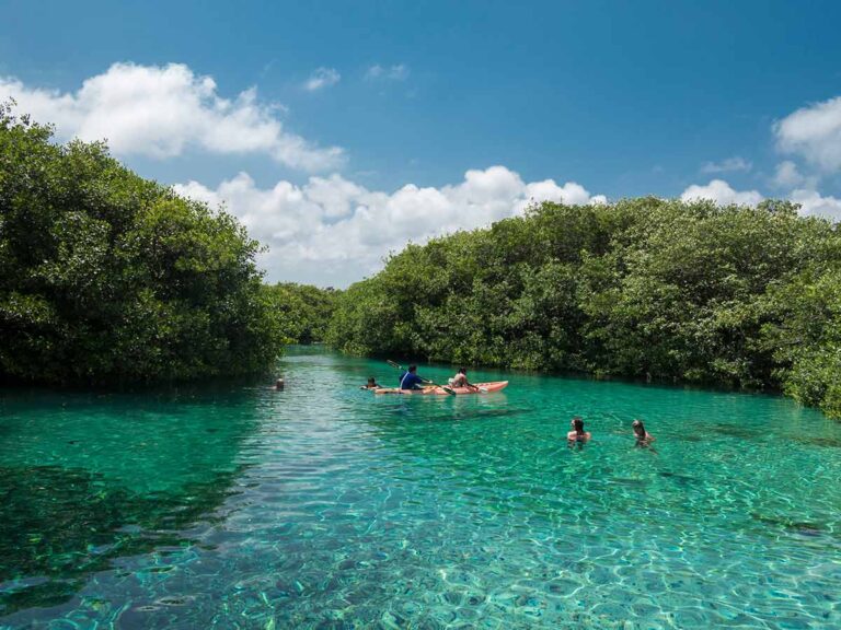 view of cenote cristalino