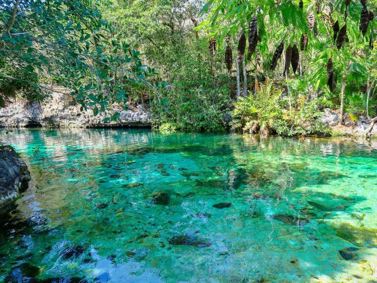 emerald waters of cenote azul near Cancun