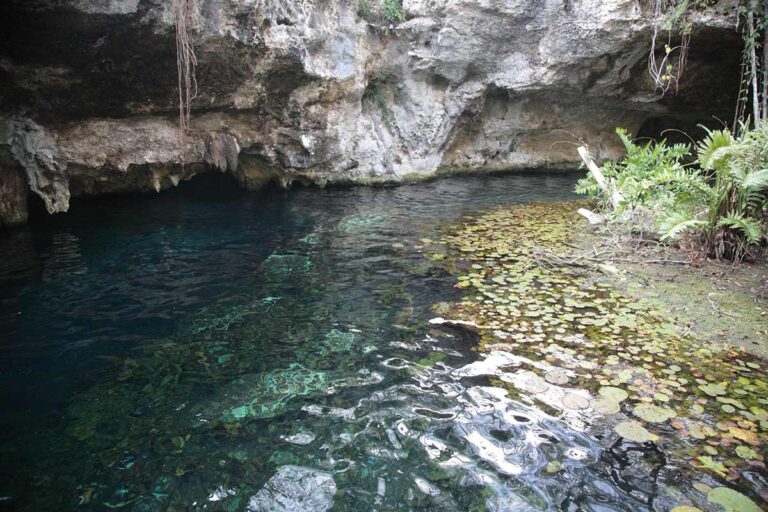 view of gran cenote near cancun