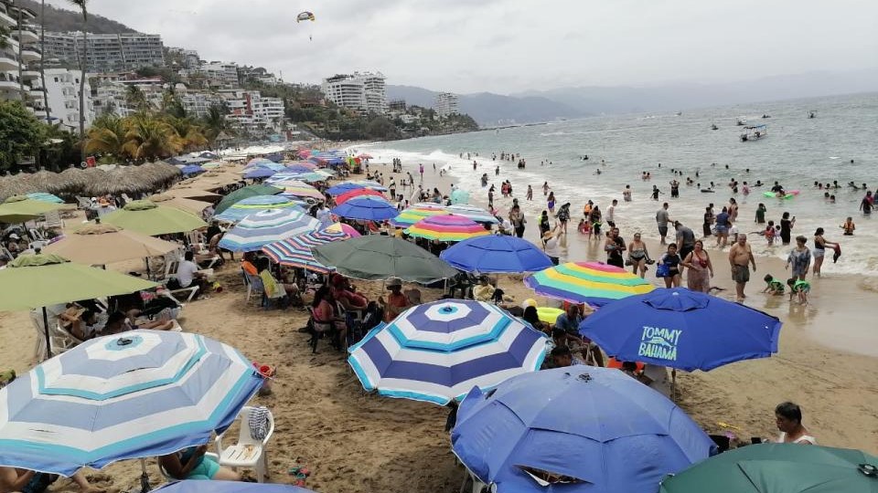 beachgoers on the beach under umbrellas