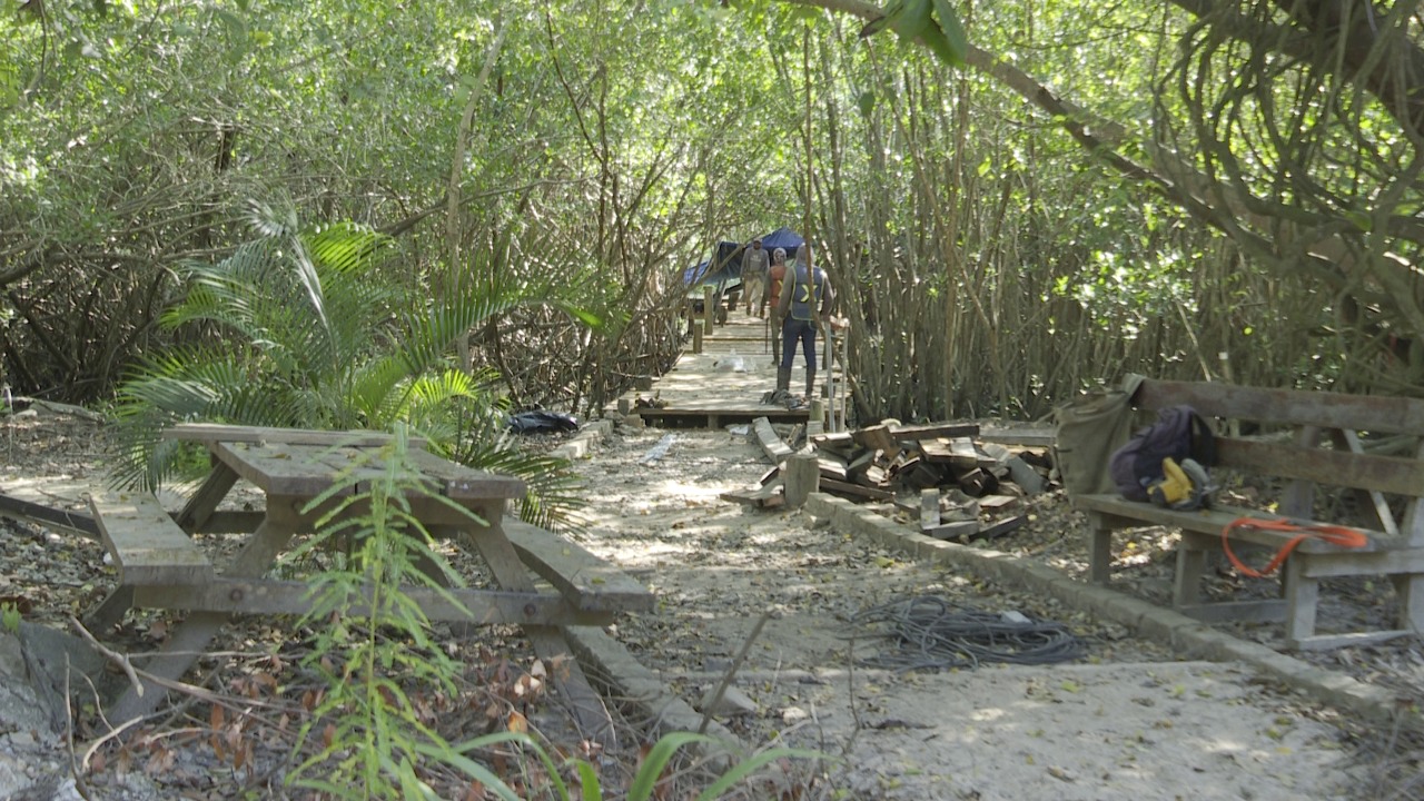 Works in El Salado estuary