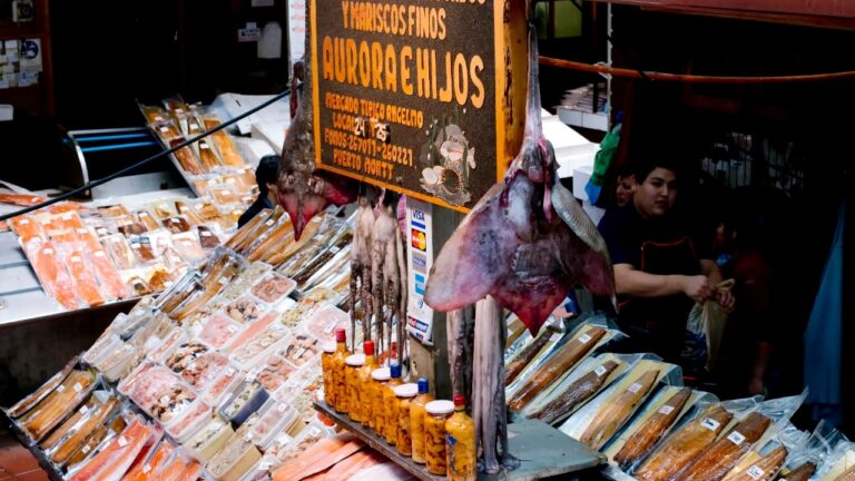 Fish and seafood in a market stall in Puerto Vallarta