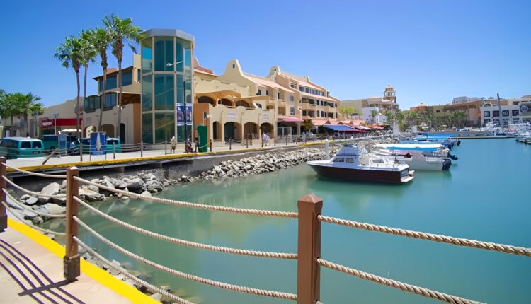 Marina of Cabo San Lucas