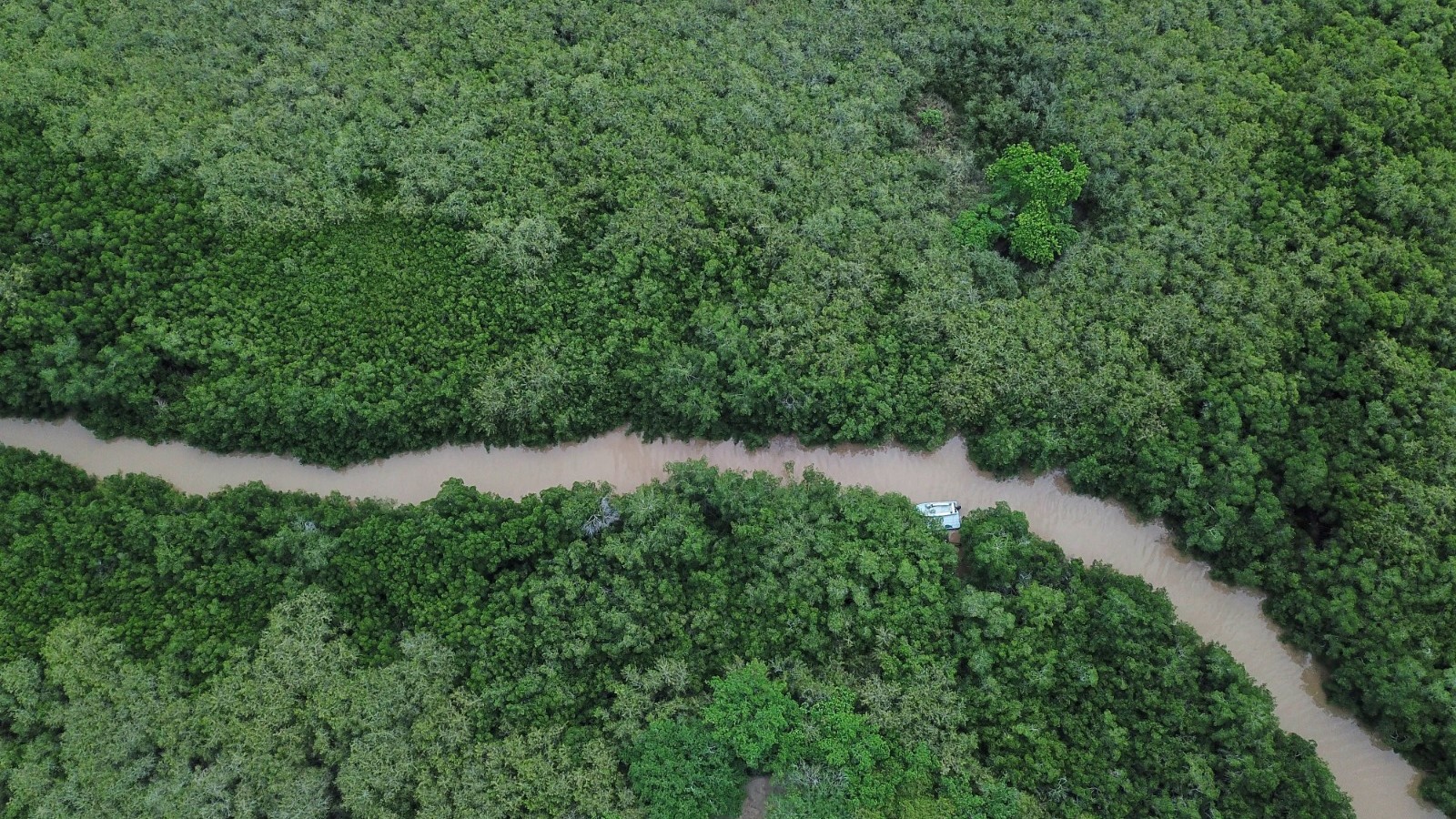 Aeril view of El Salado Estuary in Puerto Vallarta