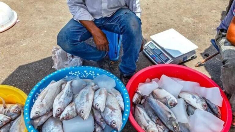 Fish street vendor