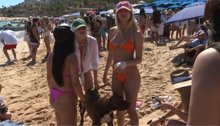 spring breakers girls in Los Cabos