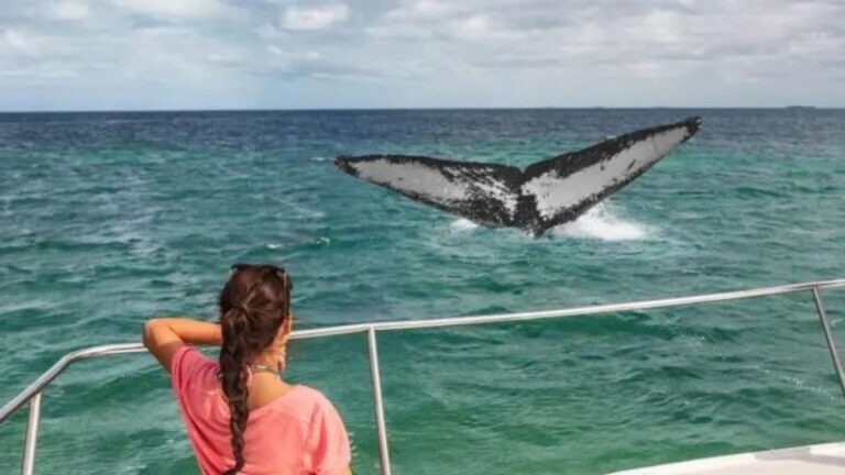 Woman watching a whale from a boat 