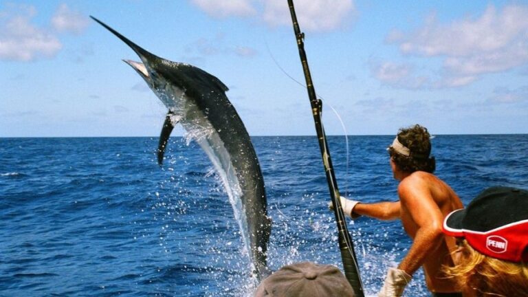 fisherman catching a sailfish