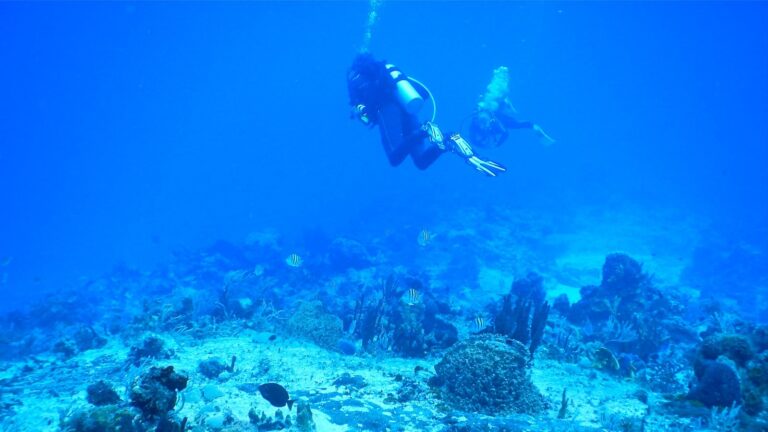 diver in Cozumel sea