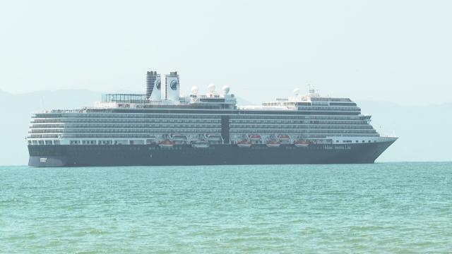 cruise ship sailing by Puerto Vallarta