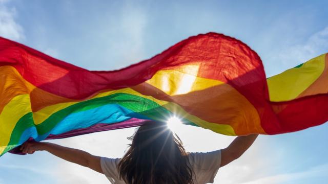 Person holding a gay flag