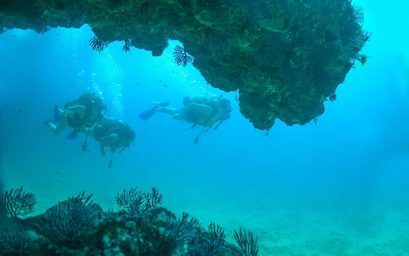 Divers by El Morro, Puerto Vallarta