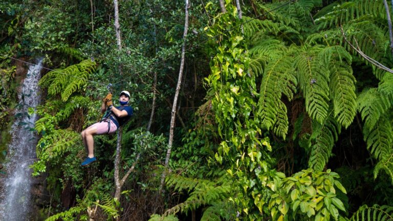 Person riding a zipline in the forest