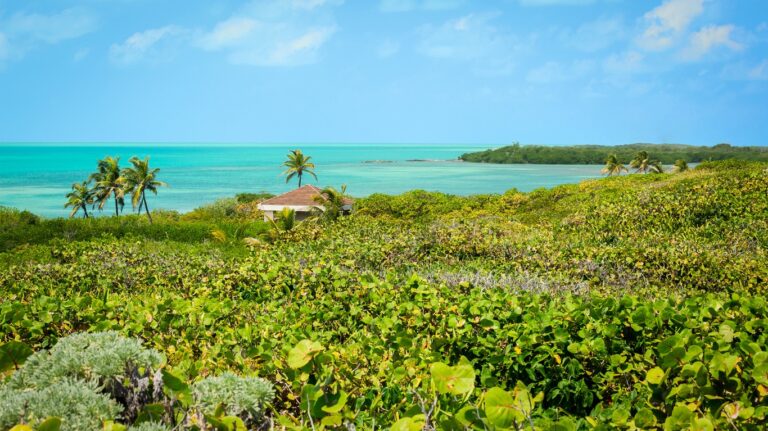 Isla Contoy jungle and sea