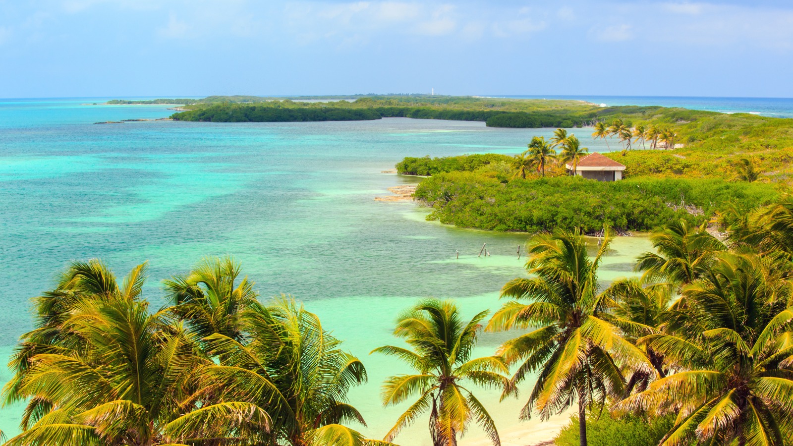 Isla Contoy landscape