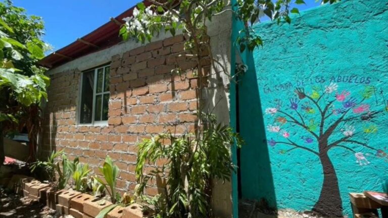 House built with sargassum blocks in Cozumel