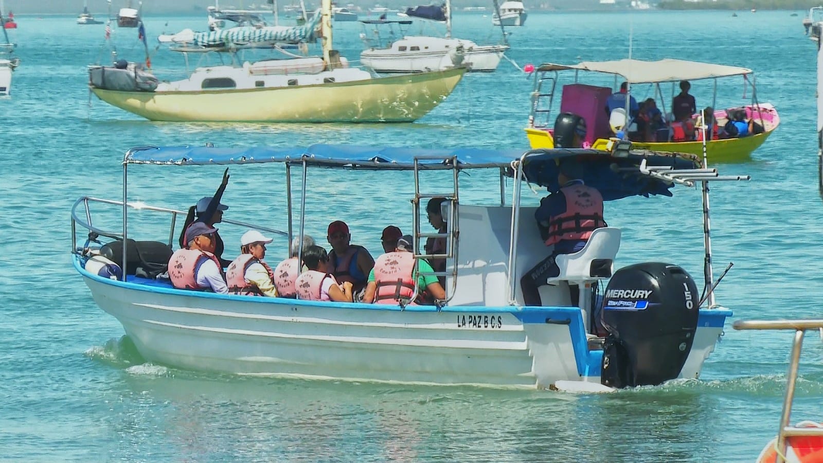 boat with tourists in Espiritu Santo
