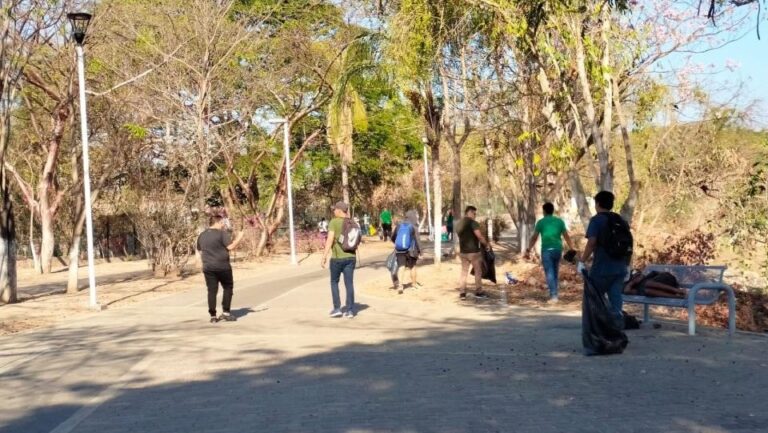 students claening the Lineal Park in Vallarta