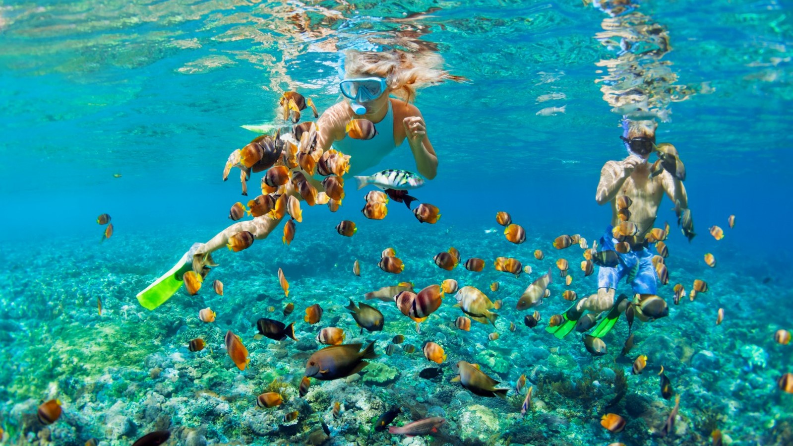 Couple snorkeling among a fish school