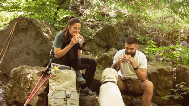 Young hikers couple sitting on the rocks on the mountain woods eating a sandwiches at break while their dog watch them. Nature lovers hiking through the forest eating lunch.