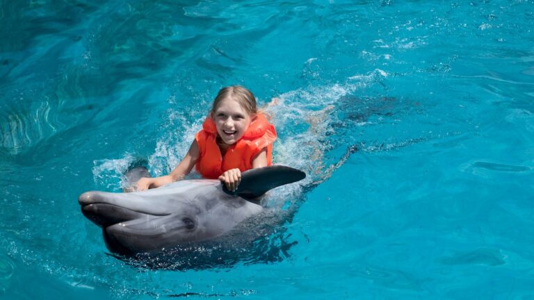 Girl riding on a dolphin