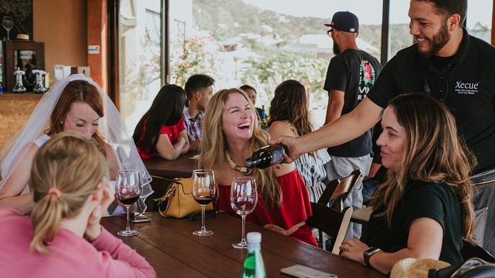 Group of women tasting wine at Xecue Valle de Guadalupe Los Cabos