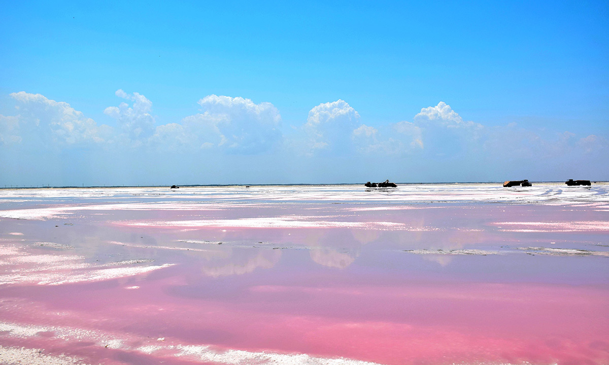 Aspect of Las Coloradas pink lake in Yuactan, Mexico