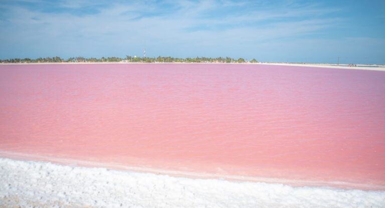 Waters of the pink lakes in Yucatan, Mexico