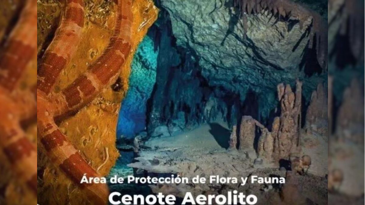 Cenote Aerolito in Quintana Roo