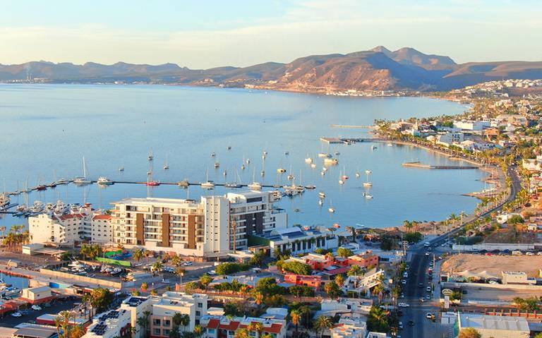 aerial view of port and bay